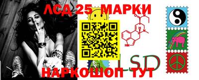 шишки Бузулук