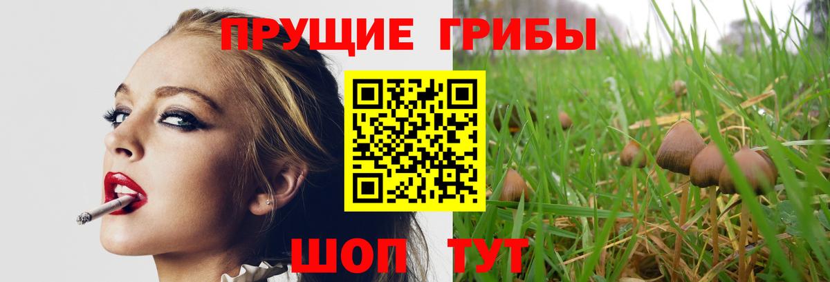 Галлюциногенные грибы GOLDEN TEACHER  Вход с VPN  Лабытнанги 